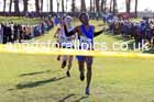 Boys under-15s 2025 Northern Cross Country Champs, Tatton Park, Knutsford, Cheshire. Photo: David T. Hewitson/Sports for All Pics